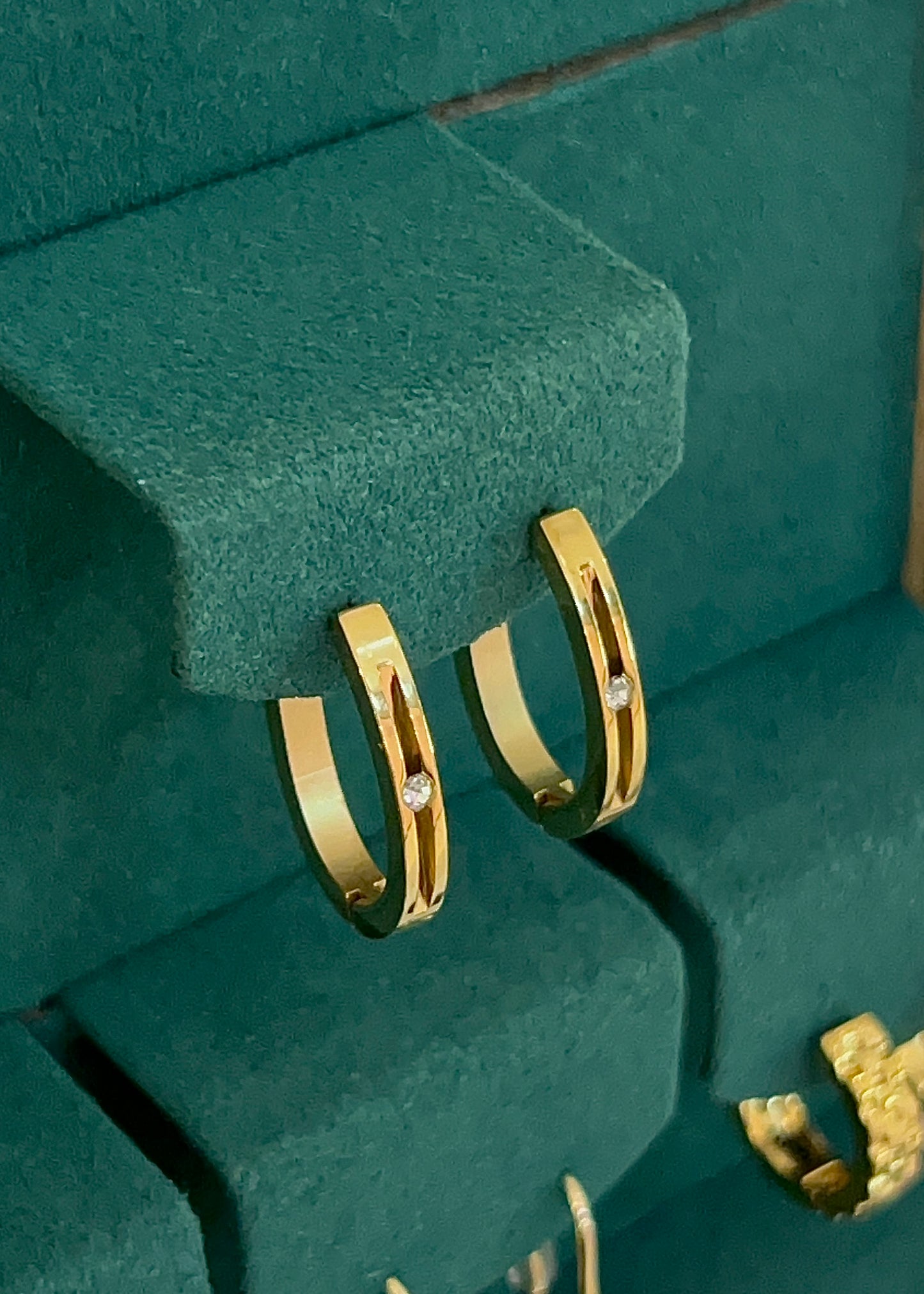 Sarjeh Earrings